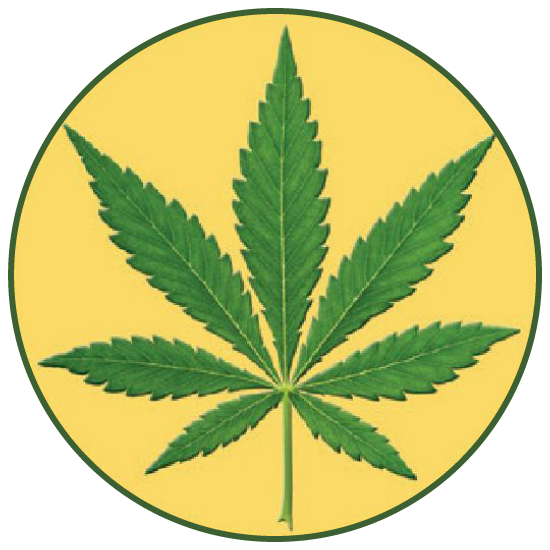 Sombra PLUS CBD Natural Pain Relieving Gels Warm Therapy